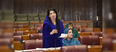 Only Imran Khan Responds Strongly to India, Says PTI Leader Aliya Hamza