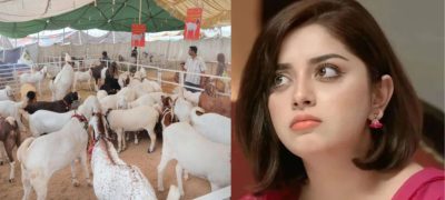 'Pain, Blood, and Fear on Roads’ – Alizeh Shah Disturbed by Eid ul Azha Scenes