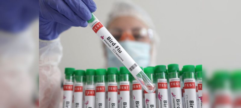 Scientists Warn of H5N1 Bird Flu Threat, Urge Pandemic Preparedness