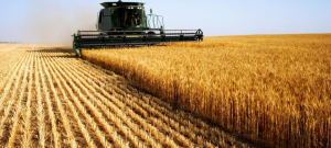 Disappointment Grows Over Budget’s Missed Opportunities for Agriculture, Business