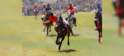 Polo