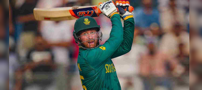 Cricket