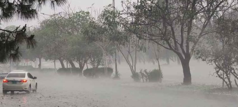 PDMA Issues Weather Alert as Pre-Monsoon Rains Expected Across Punjab