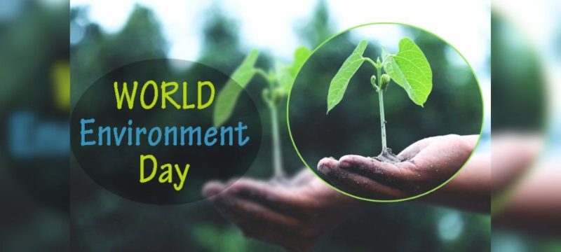 PM Shehbaz Urges Global Unity to Fight Plastic Pollution on World Environment Day