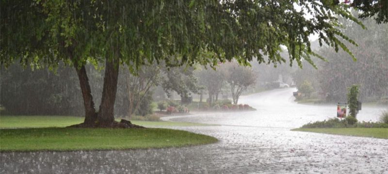 PDMA Issues Alert: Punjab Braces for Thunderstorms and Rain Till June 16
