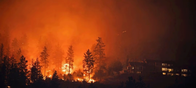 Punjab on High Alert as Forest Fire Incidents Rise Amid Heatwave