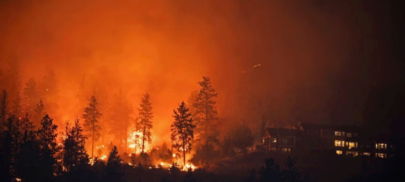 Punjab on High Alert as Forest Fire Incidents Rise Amid Heatwave