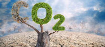 Record-Breaking CO₂ Levels Spark Alarms Over Human Health and Climate Impact