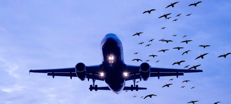 Three Foreign Aircraft Grounded at Karachi Airport After Separate Incidents