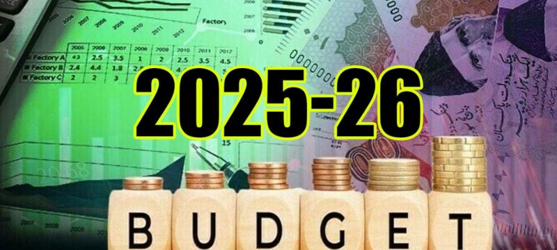 What Salary and Pension Increases Can Government Employees Expect in the 2025-26 Budget?