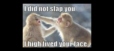 Funny Memes