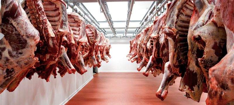 80000 kg Expired Meat Seized in Sheikhupura Raid