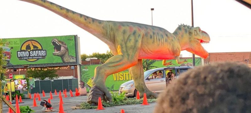 Time Travel Theatre Opens at Dino Safari Park Karachi
