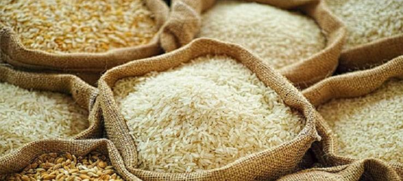 Pakistan’s Rice Exports Dip 11.7% Despite Modest Rise in Basmati Sales