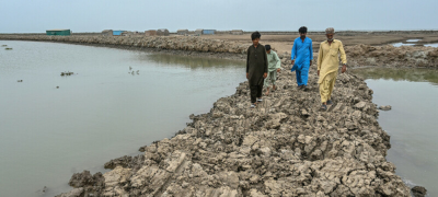 Death of a Delta: Pakistan's Indus Sinks and Shrinks