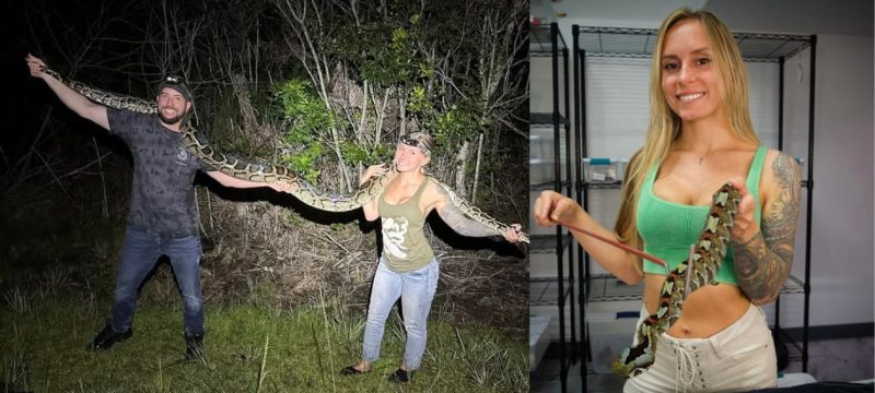 Taylor Stanberry Wins $10,000 After Capturing 60 Burmese Pythons in Florida Challenge