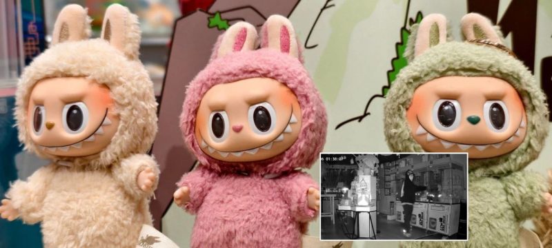 Thieves Ignore Cash, Steal $30K Worth of Labubu Dolls in LA Heist