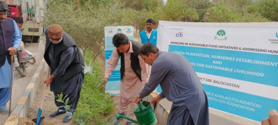 Balochistan Launches Plantation Drive Under CM’s Green Vision