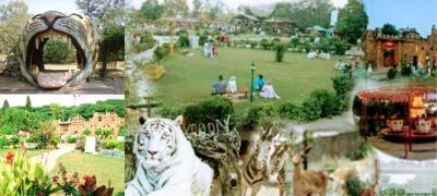 Ayub National Park: Fun, Wildlife & Family Adventures