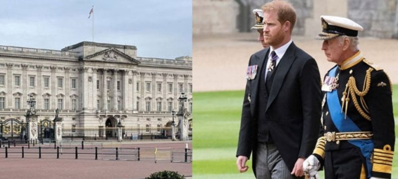 Buckingham Palace Reacts as King Charles Saddened