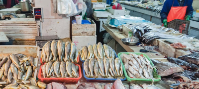 Chinese, Pakistani Firms Ink $12 Million JV for Fishmeal Plant
