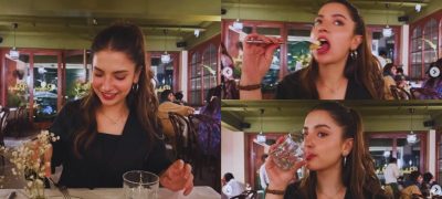 Dananeer Mobeen Eats Healthy, Fans Left Mesmerised
