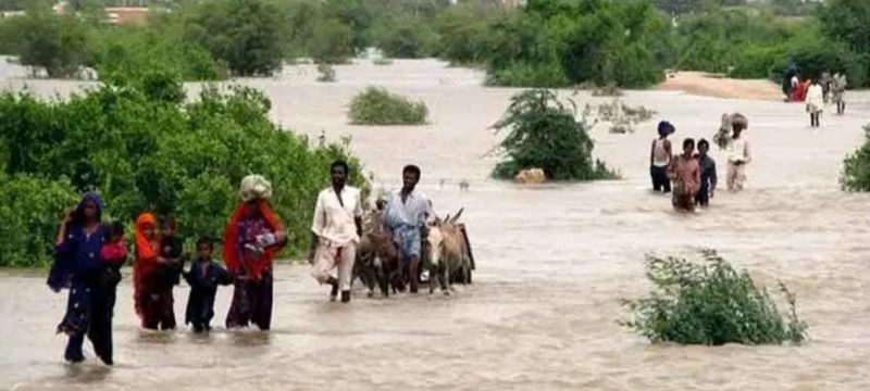 Extremely High Flood Expected At Guddu Barrage On September 15 Submerging Villages