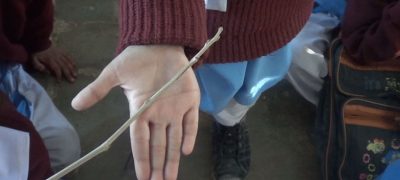 FDE Issues Warning to Islamabad Schools Over Student Corporal Punishment