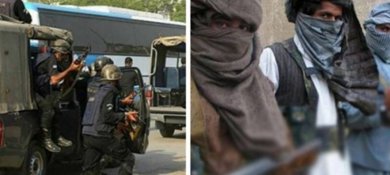 Over 8,000 TTP Militants Active in KP, Officials Warn