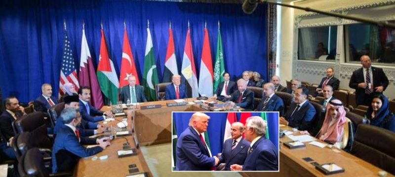 PM Shehbaz Sharif Meets Trump, Praises Him as 'Champion of Peace'