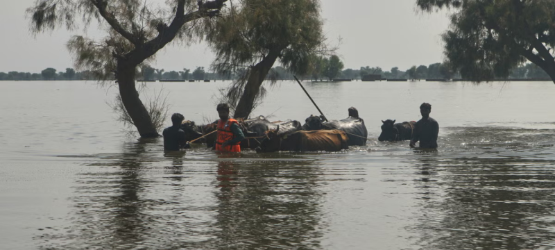 Pakistan Floods: If Only Rivers Were Allowed To Flow As They Must