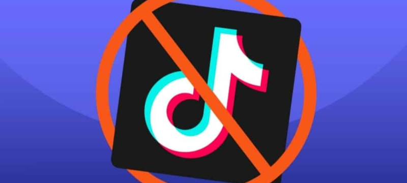 Punjab Assembly Resolution Seeks TikTok Ban