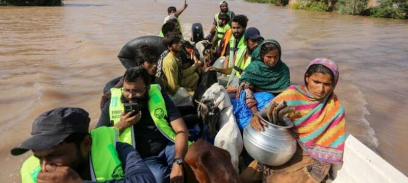 Punjab Floods Kill 51 as Panjnad and Sutlej Rivers Overflow