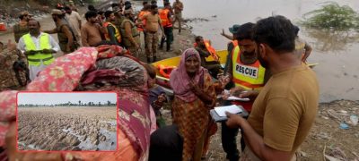 Punjab Floods Ravage 2.2M Acres, Rice Crop Suffers Major Blow