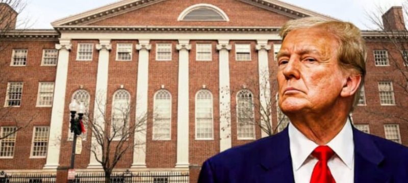 Trump’s Harvard Cuts Put Biomedical Research at Risk