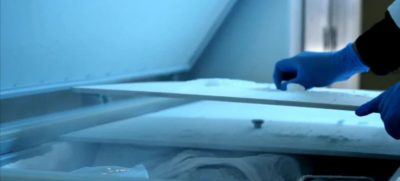 Japan Arrests Woman for Hiding Daughter’s Body in Freezer