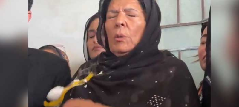 Who threw eggs at Aleema Khan? Incident in Adiala Jail sparks debate