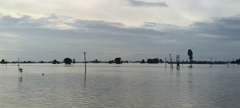 Floods Devastate Punjab as Rivers Overflow and Villages Submerge
