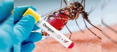 Dengue Alert Issued as Cases Rise in Islamabad and Rawalpindi