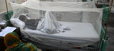 Dengue Cases Continue to Rise in Lahore