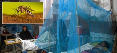 Dengue on the Rise! 26 New Cases Reported in Islamabad