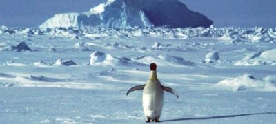 Methane Leaks Discovered in Antarctica Raise Fears of Faster Global Warming