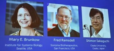 Trio of Scientists Wins Nobel Prize for Immune System Breakthrough