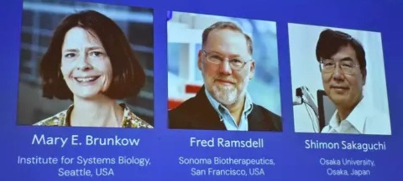 Trio of Scientists Wins Nobel Prize for Immune System Breakthrough