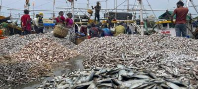 Pakistan’s Seafood Boom $153M Exports to China in Just 9 Months!