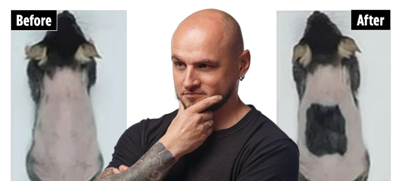 Scientists Discover 10-Day Hair Regrowth Formula After Testing on Mice