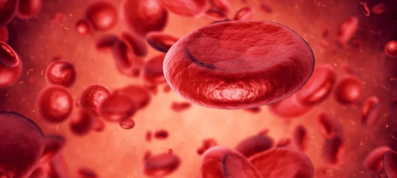 Scientists Have Grown Human Blood Cells from Scratch in the Lab