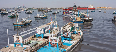 Sindh to Build Mini Fish Harbours to Create Coastal Jobs