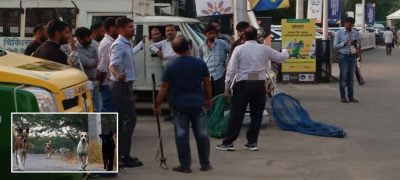 Stray Dogs Attack Kenyan and Japanese Coaches During International Sports Event in Delhi
