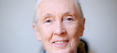World Mourns Conservation Giant Jane Goodall at 91